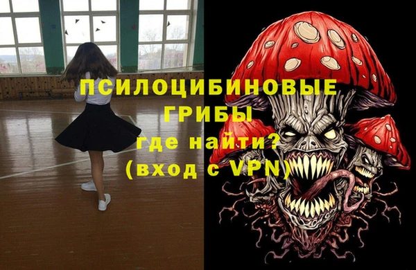 ГАЛЛЮЦИНОГЕННЫЕ ГРИБЫ Балахна