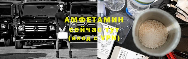 ГАЛЛЮЦИНОГЕННЫЕ ГРИБЫ Балахна