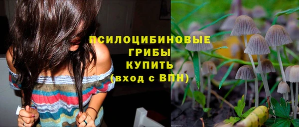 ГАЛЛЮЦИНОГЕННЫЕ ГРИБЫ Балахна