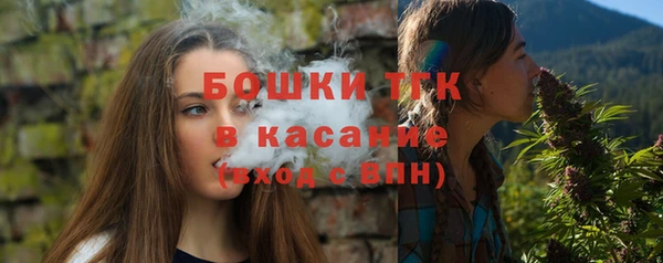 хмурый Губаха