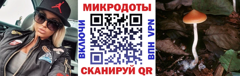 Псилоцибиновые грибы GOLDEN TEACHER  shop какой сайт  Горнозаводск 